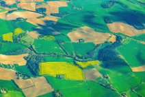 GEO ART - fields around Toulouse - France 1 GEO ART - fields around Toulouse - France 1.jpg