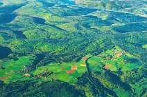 GEO ART - forest and fields around Frankfurt Main - Germany GEO ART - forrest and fields around Frankfurt Main - Germany.jpg