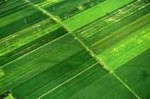 GEO ART - GREN FIELDS AROUND MONTREAL - CANADA 1