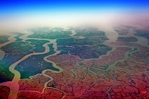 20130228_004416_GEOART_SUNDARBARNS_NATIONALPARK_WEST_BENGAL_INDIA