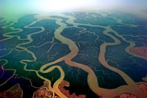20130228_004846_GEOART_SUNDARBARNS_NATIONALPARK_WEST_BENGAL_INDIA