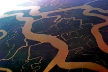 20130228_005212_GEOART_SUNDARBARNS_NATIONALPARK_WEST_BENGAL_INDIA