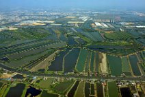 20131207_082253_GEOART_SUBURBS_OF_BANGKOK_THAILAND
