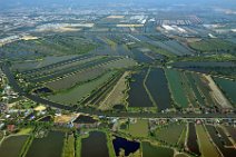 20131207_082257_GEOART_SUBURBS_OF_BANGKOK_THAILAND