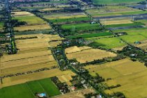 GEO ART - FIELDS EAST OF BANGKOK 2