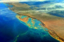 GEO ART - COASTLINE OF THE RED SEA - SOUTH OF BERENKE - EGYPT 4 GEO ART - COASTLINE OF THE RED SEA - SOUTH OF BERENKE - EGYPT 4