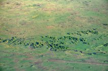 GEO ART - MASAI MARA - KENYA 13 GEO ART - MASAI MARA - KENYA 13