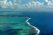 GEO ART - REEF AT EAST COAST MAURITIUS