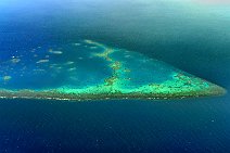 GEO ART - REEF IN THE RED SEA - IN FRONT OF JEDDAH - SAUDI ARABIA 1 GEO ART - REEF IN THE RED SEA - IN FRONT OF JEDDAH - SAUDI ARABIA 1