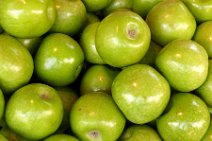 APPLES GREEN SQUARE