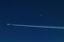 Lufthansa A321 in historic livery - in flight with vapor trail -01 Lufthansa A321 in historic livery - in flight with vapor trail -01.jpg