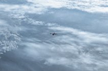 WIZZ AIR Airbus A320 Sharkelt flying over clouds 01 WIZZ AIR Airbus A320 Sharkelt flying over clouds 01
