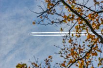 Four engine airliner with vapor trail seen from under a tree Four engine airliner with vapor trail seen from under a tree.JPG