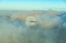 Shadow of an aircraft with halo around in front of clouds Shadow of an aircraft with halo around in front of clouds