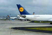 Lufthansa Airbus A330 tail D-AIKC in EDDF Lufthansa Airbus A330 tail D-AIKC in EDDF.jpg