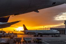 Lufthansa Airbus A340-300 on tow in sunset light - EDDF - Germany Lufthansa Airbus A340-300 on tow in sunset light - EDDF - Germany