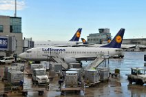 DSC_5234 Lufthansa Boeing 737 am Terminal A in Frankfurt, davor Frachtcontainer, ULD