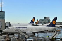 DSC_5237 Lufthansa Boeing 737 am Terminal A in Frankfurt, davor Frachtcontainer, ULD