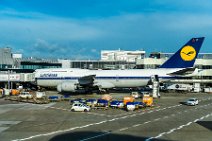 Lufthansa Boeing B747-8 in Letro livery - D-ABYT in EDDF Lufthansa Boeing B- in Letro livery - D-ABYT in EDDF