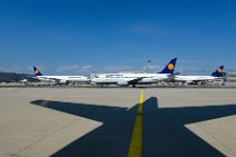 Lufthansa jets in Frankfurt EDDF Lufthansa jets in Frankfurt EDDF