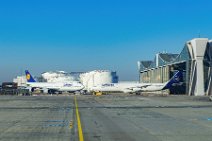 LufthansaBoeing B747-8 and Airbus A340-300 in EDDF - Germany LufthansaBoeing B747-8 and Airbus A340-300 in EDDF - Germany.jpg