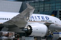 20150519_113915_UNITED_B787