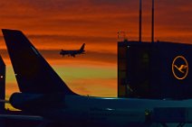 LUFTHANSA B747 TAIL AND LANDING AIRCRAFT - SUNSET IN EDDF