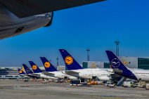 Tails in new and old livery of Lufthansa in EDDF 1 Tails in new and old livery of Lufthansa in EDDF 1