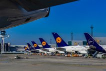 Tails in new and old livery of Lufthansa in EDDF 2 Tails in new and old livery of Lufthansa in EDDF 2