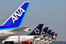 AIRCRAFT TAIL PARADE - ANA AND STAR ALLIANCE