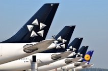 LUFTHANSA AIRBUS A340 TAIL PARADE - STAR ALLIANCE 1