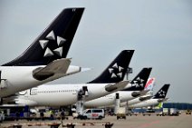 LUFTHANSA AIRBUS A340-300 TAILS IN STAR ALLIANCE LIVERY AND AIR EUROPE TAIL - EDDF LUFTHANSA AIRBUS A340-300 TAILS IN STAR ALLIANCE LIVERY AND AIR EUROPE TAIL - EDDF