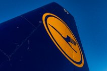 VERTICAL STABILIZER OF LUFTHANSA AIRBUS A320 D-AIPP VERTICAL STABILIZER OF LUFTHANSA AIRBUS A320 D-AIPP