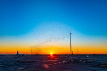 Flock of starlings at Nice airport during sunrise - France 05 Flock of starlings at Nice airport during sunrise - France 05.jpg