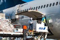 CARGO LOADING OF AN LUFTHANSA AIRBUS A340 - NAGOYA - JAPAN CARGO LOADING OF AN LUFTHANSA AIRBUS A340 - NAGOYA - JAPAN