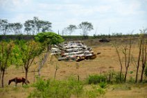 20160417_114450_old_MIG-fighters_at_CIENFUEGOS_airport_CUBA