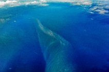 Old vapor trail over northern Atantic Ocean Old vapor trail over northern Atantic Ocean.jpg