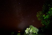 THE MILKY WAY OVER THE MASAI MARA - KENYA 1