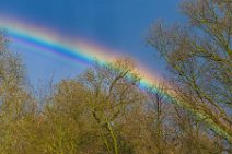 HDR - RAINBOW - Troisdorf - Germany HDR - RAINBOW - Troisdorf - Germany.jpg
