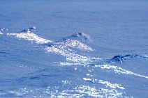 Small waves in sunslight - Strait of Gibraltar 03 Small waves in sunslight - Strait of Gibraltar 03