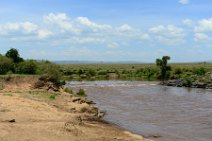 MARA RIVER - MASAI MARA - KENYA 3