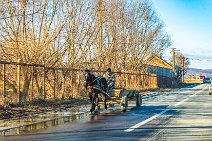 Horse-drawn wagon - near Busteni - Romania 02 Horse-drawn wagon - near Busteni - Romania 02.jpg