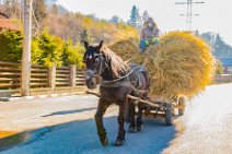 Horse-drawn wagon loaded with hay - near Busteni - Romania 04 Horse-drawn wagon loaded with hay - near Busteni - Romania 04.jpg