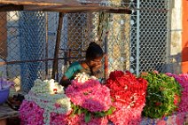 20160611_081227_flower_seller-around_KAPALEESWARAR_TEMPLE_Chennai_India 20160611_081227_flower_seller-around_KAPALEESWARAR_TEMPLE_Chennai_India