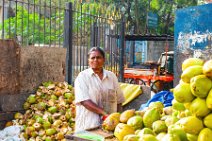 Coconut stand on the street - Bangalore - India 06 Coconut stand on the street - Bangalore - India 06.jpg