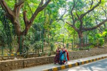 Street through the Bugle Rock Park - Bangalore - India 02 Street through the Bugle Rock Park - Bangalore - India 02.jpg