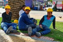 Workers under a palm - Bogota - Colombia Workers under a palm - Bogota - Colombia.jpg