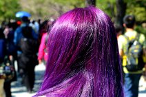 20150328_052640_PURPLE_HAIR