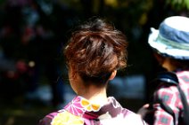 20150328_053856_GEISHA_HAIRS