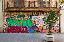 HDR - Graffiti and a tree - Valencia - Spain 01 HDR - Graffiti and a tree - Valencia - Spain 01.jpg